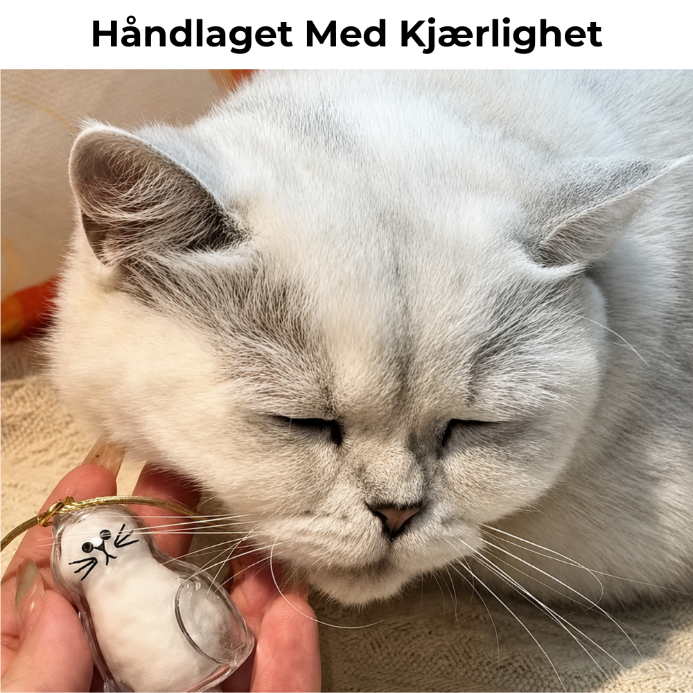 Pels-minne™ (Katt) - Nøkkelring Med Ekte Pels Fra Katten Din