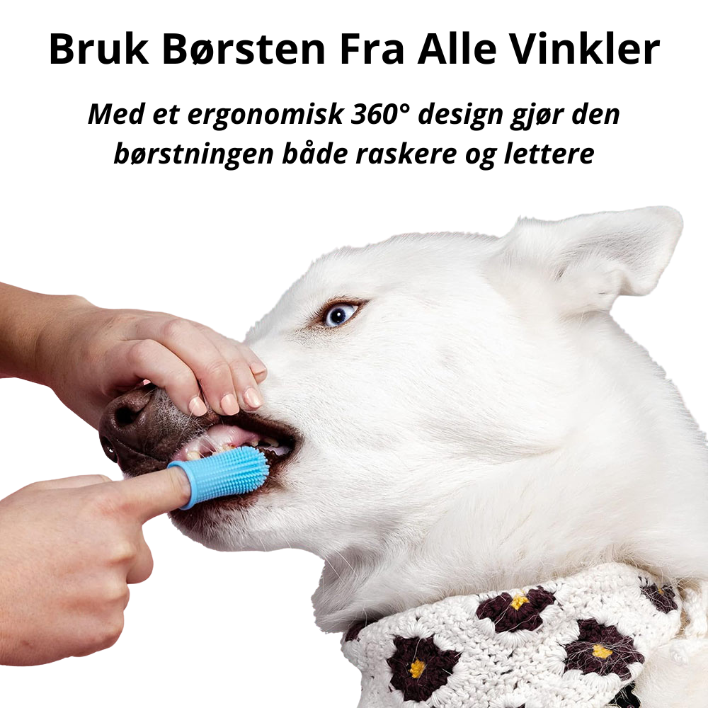 DoggieBrush - Tannbørste For Hunder